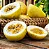 Polpa de frutas - Polppi Maracujá 1Kg - Imagem 2