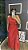 Vestido bela - Imagem 11