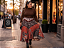 SAIA ESTAMPADA PLUS - Imagem 1