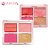 Paleta de Blush e Iluminador Blush & Shine (COR Rosé Gold) - Ruby Rose - Imagem 1