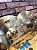 HI HAT SABIAN AAX 16” - Imagem 2