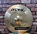Ride Odery Bronz Projection 20” - Imagem 1