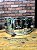 Caixa Pearl Roadshow Steel Shell 14x6,5" - Imagem 1