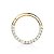 Segmento Frontal Zircônias | Tit. PVD Gold | Piercing de Argola - Imagem 1
