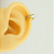 Segmento Cravejado | PVD Gold | Piercing de Orelha - Imagem 3