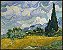 Campo de trigo com ciprestes - Imagem 1