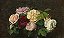 Rosas na mesa - Imagem 1