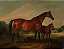 Cavalos com forte ao fundo - Imagem 1