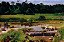 Paisagem fluvial - Imagem 1