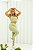 CONJUNTO FITNESS FEMININO TOP CROPPED E LEGGING YASMIN - VERDE - Imagem 2