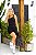 CONJUNTO FITNESS LIVIA REGATA E SHORT - CINZA - Imagem 9