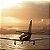 Microsoft Flight Simulator Premium Deluxe Xbox Series X|S - Imagem 2