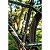 Bomba de Ar Manual Portátil Tramontina para Bicicleta 90 Psi - Imagem 3