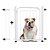 Prolongador Portão Proteção Pet Aramado 20cm Branco Aço Mix - Imagem 3