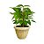 Vaso de Plantas Grego Marmorizado Redondo 2,2L Color 15x18cm - Imagem 7