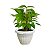 Vaso de Plantas Grego Marmorizado Redondo 2,2L Color 15x18cm - Imagem 12
