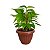 Vaso para Plantas Grego Redondo 2,2L 15x18cm Plástico Color - Imagem 15