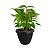Vaso para Plantas Grego Redondo 2,2L 15x18cm Plástico Color - Imagem 16