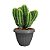 Vaso de Plantas Grego Redondo 4,8 Litros Color 19x25cm - Imagem 8