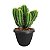 Vaso de Plantas Grego Redondo 4,8 Litros Color 19x25cm - Imagem 18