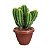 Vaso de Plantas Grego Redondo 4,8 Litros Color 19x25cm - Imagem 13