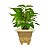 Vaso de Plantas Marmorizado Quadrado 6,4 Litros Color 23x25cm - Imagem 8