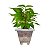 Vaso de Plantas Marmorizado Quadrado 6,4 Litros Color 23x25cm - Imagem 14