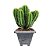 Vaso de Plantas Marmorizado Quadrado 3,5Litros Color 19x20cm - Imagem 21