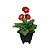 Vaso de Plantas Quadrado Pequeno 1,7L Color 15x16cm Ariplas - Imagem 14