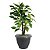 Vaso de Plantas Grego Redondo 9 Litros Color 23x29cm Ariplas - Imagem 8