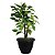 Vaso de Plantas Grego Redondo 9 Litros Color 23x29cm Ariplas - Imagem 18