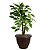 Vaso de Plantas Grego Redondo 9 Litros Color 23x29cm Ariplas - Imagem 13