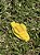 ISOLADOR W AMARELO PREMIUM - Unidade - Imagem 5