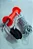KIT PORTEIRA COM CORDA BUNGY - Premium - Imagem 2