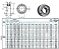 Rolamento Catraca Contra Recuo ASNU8 = NFS8 = TTFS8 = TFS8 Medidas:8x35x13mm - Imagem 4