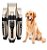Máquina de Tosa Profissional Bivolt Para Cachorro Pet Dourada - Imagem 2