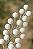 C.Berry Branco (Flocos Branco) 63cm - Imagem 2