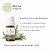OE Tea Tree GT Brasil 10ml - Imagem 1