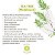 OE TEA TREE GT BRASIL 10ml - Imagem 3