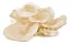 Extrato Tremella - (Tremella fuciformis) 30ml - Imagem 2
