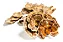 Extrato Cauda De Peru - (Trametes versicolor) 60ml - Imagem 2