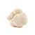Extrato de Maitake (Grifole frondosa) 60ml - Imagem 3