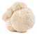 Extrato Juba De Leao - (Hericium erinaceus) 60ml - Imagem 2