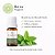 Óleo Essencial de Hortelã Verde GT China 10ML - Imagem 1