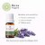 Óleo Essencial de Lavanda Bulgária 10ML - Imagem 1