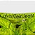 Bermuda Calvin klein Jeans Verde - Imagem 4