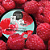 Creme Hidratante Corporal - Framboesa Organic Shop (250g) - Imagem 3