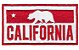 California Urso - Imagem 1