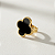 Anel Trevo Preto - Imagem 1