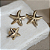 Conjunto Estrela - Imagem 1